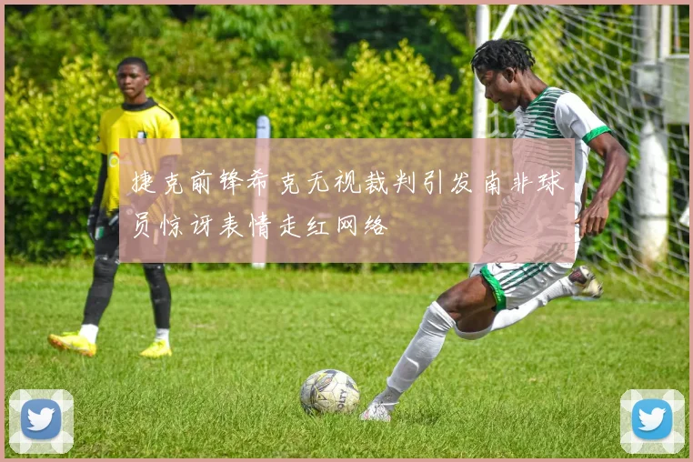 捷克前锋希克无视裁判引发南非球员惊讶表情走红网络