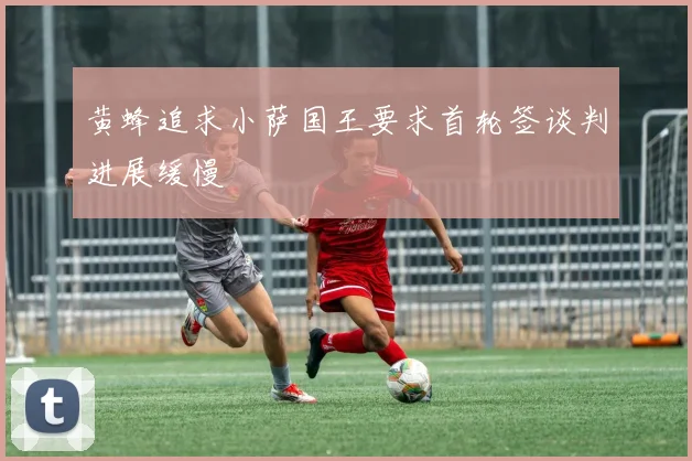 黄蜂追求小萨国王要求首轮签谈判进展缓慢